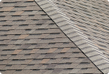 塗装が難しい屋根材